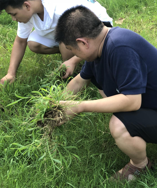 拔草网红店—排队一小时，味道五分钟