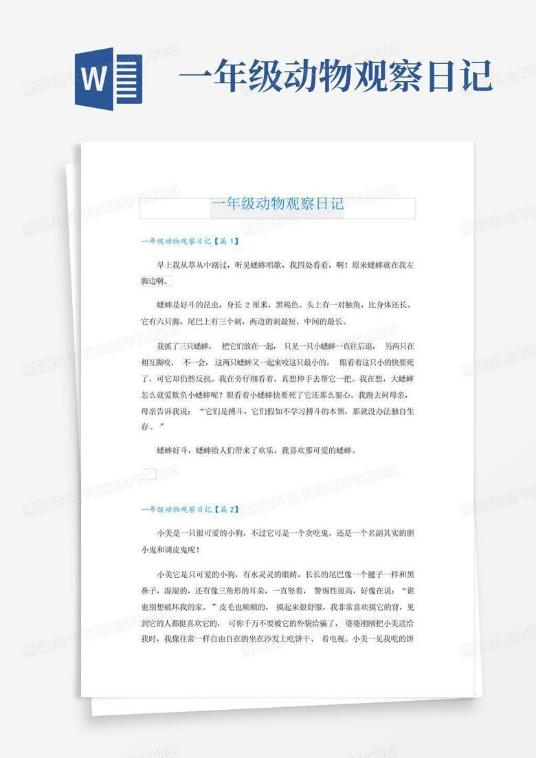 偶遇一只“抑郁”的猴子和一只“傲娇”的猫·动物世界的一天