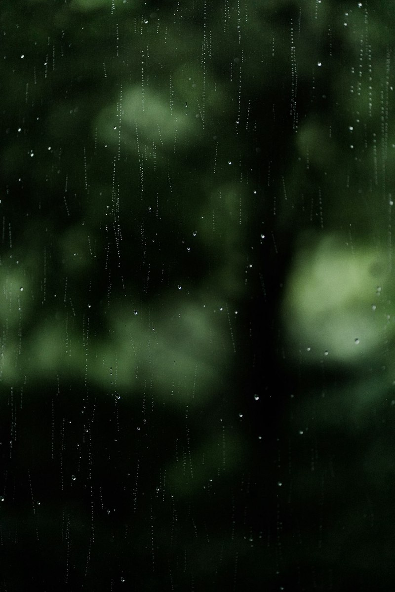 晴雨情话剧—爱在季节变换中绽放 晴雨情话剧—爱在季节变换中绽放