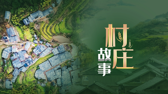 后山那栋老屋，又传来敲门声了…