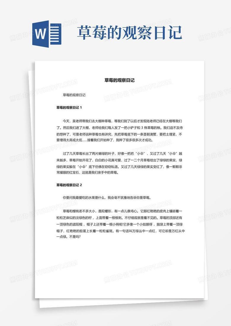 第50天丨阳台上的绿意