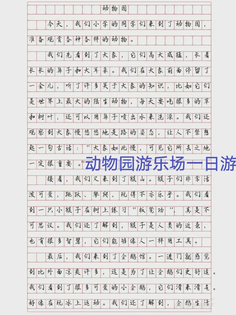 日记游乐场的奇妙冒险…