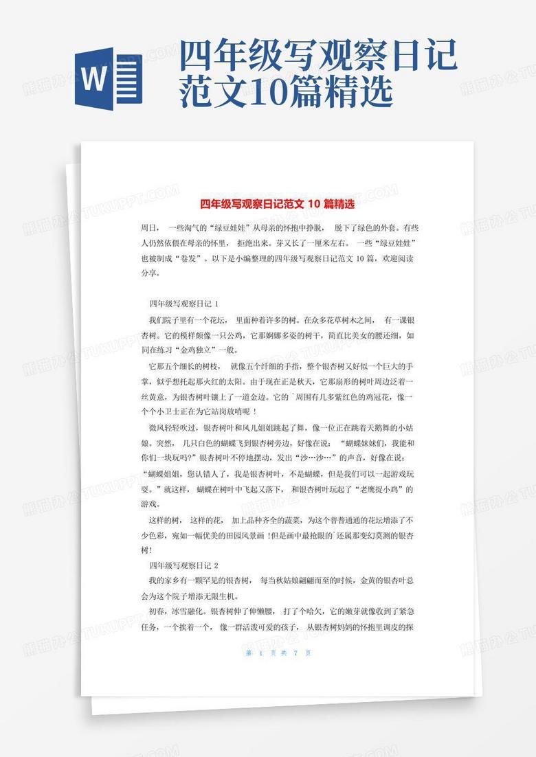 我家阳台上的小番茄！