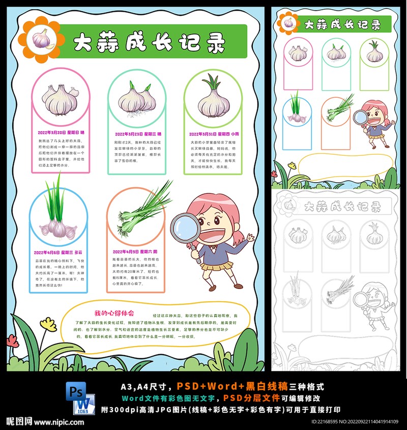 蒜瓣在抽屉里偷偷发芽了？