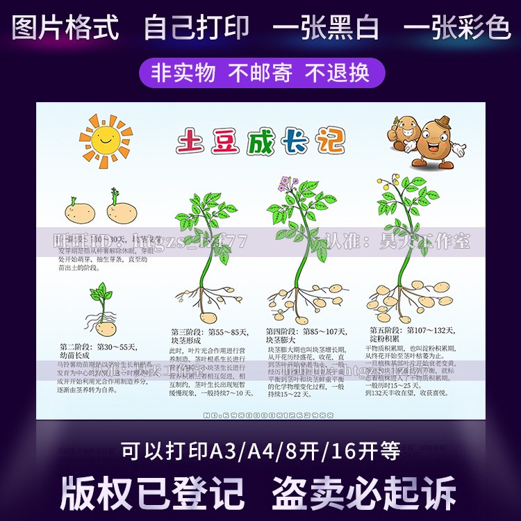 土豆的秘密生活！