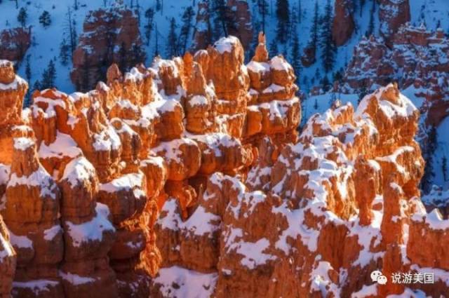 【情话大全】把整个冬天的浪漫，都藏进这句情话里？