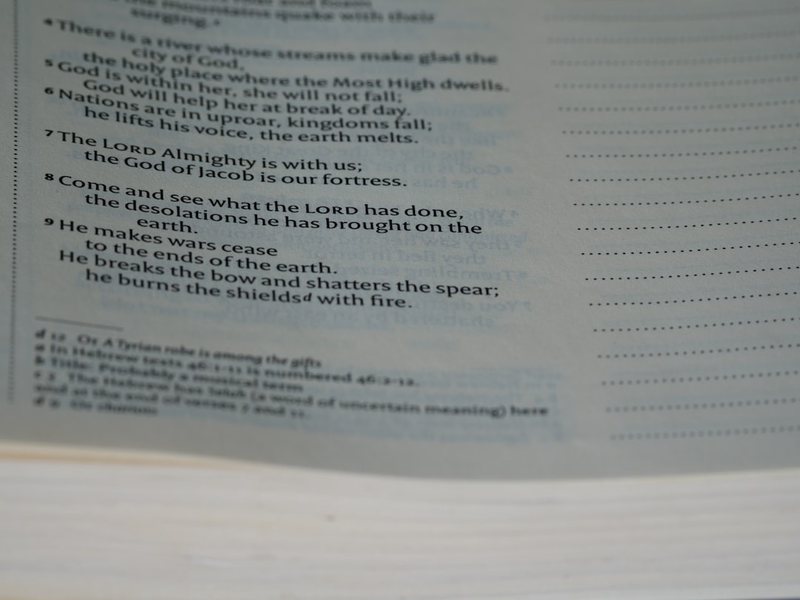 放学路上的观察日记！