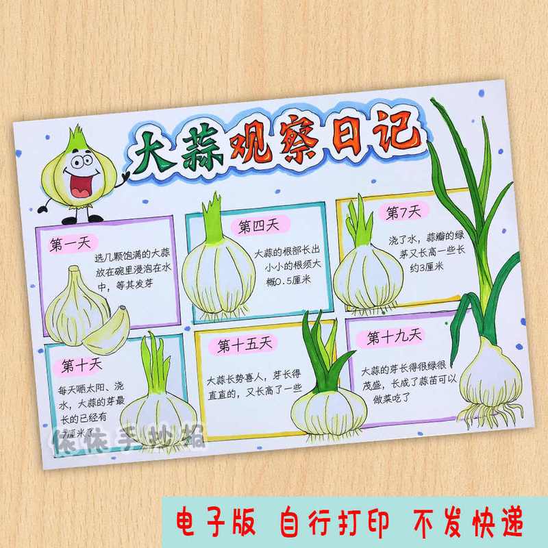 七天，我盯住了楼下那棵老槐树？