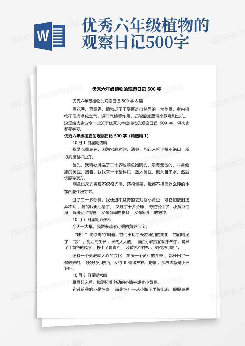 窗外的那些小动静？