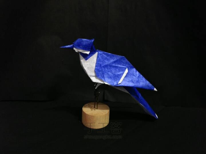 今天,我学会了折纸? 今天,我学会了折纸?