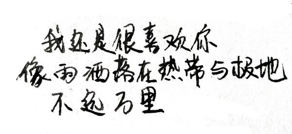 在纸页间悄悄生长的告白 在纸页间悄悄生长的告白