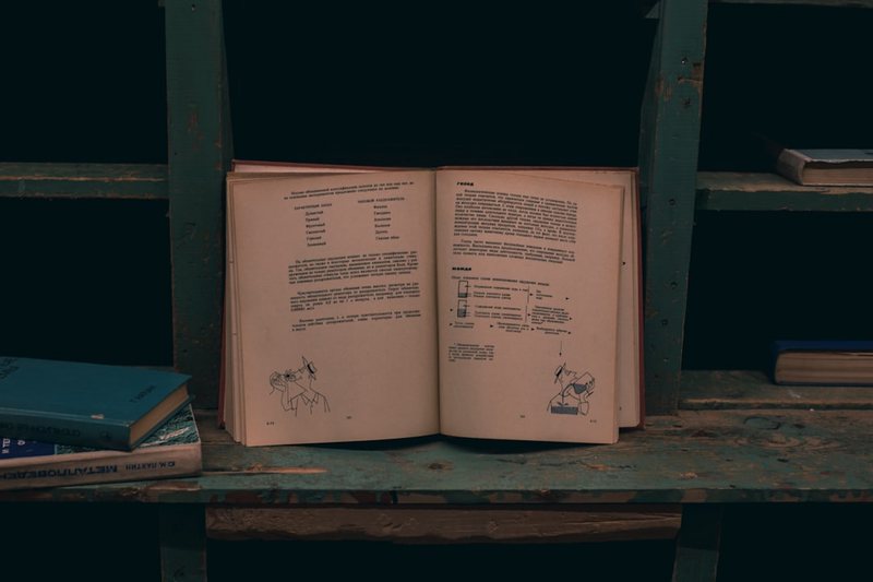 豆芽的生长日记！