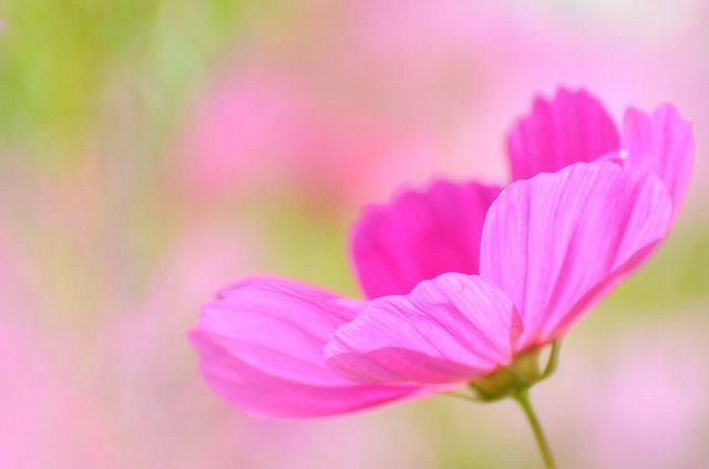 现实短句情话高级—爱，藏在生活中的每一个细节