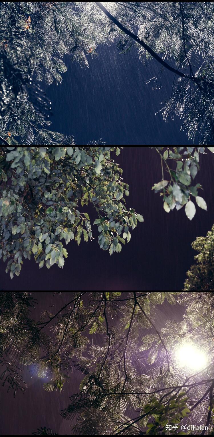 雨中漫步，心跳与雨声共鸣