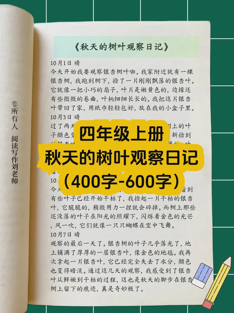 银杏叶飘落的第13天? 银杏叶飘落的第13天?
