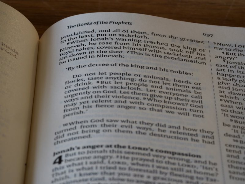 今天，我开始尝试写英语日记？