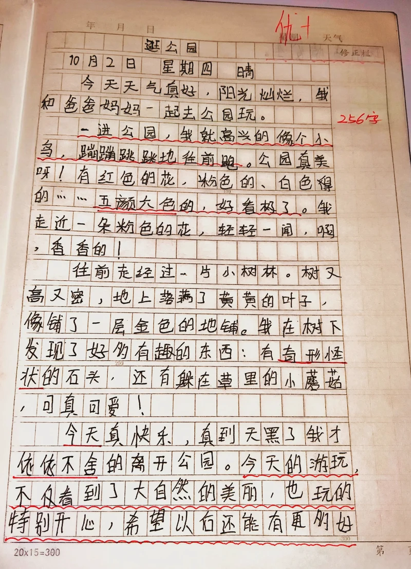 日记｜300字的日常