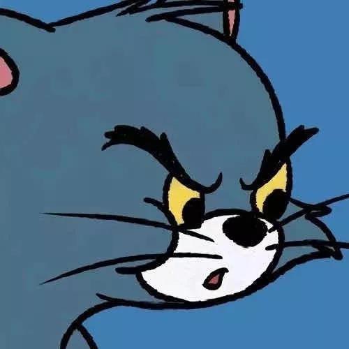 喵呜，心动如猫鼠间的追逐