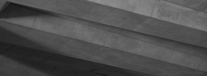 梧桐下的誓言—蒋介石种下的情话时光 梧桐下的誓言—蒋介石种下的情话时光