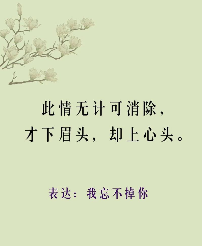 梦中的你，是我最甜蜜的思念