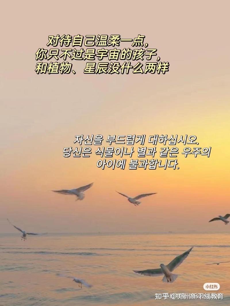 像星星一样照亮彼此的路·韩语情话里的温柔力量