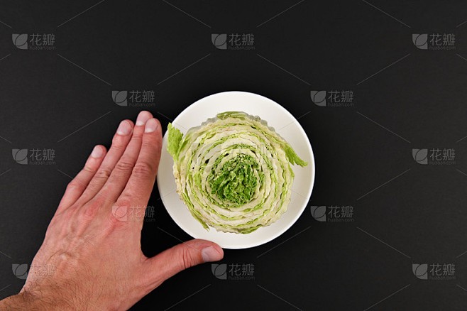 小区里的白菜观察日记|绿意盎然的小生命 小区里的白菜观察日记|绿意盎然的小生命