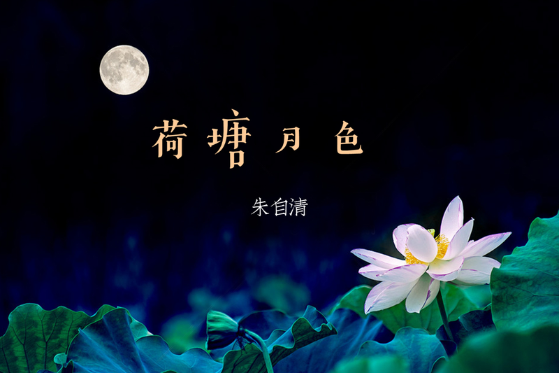 荷塘里的温柔对话? 荷塘里的温柔对话?