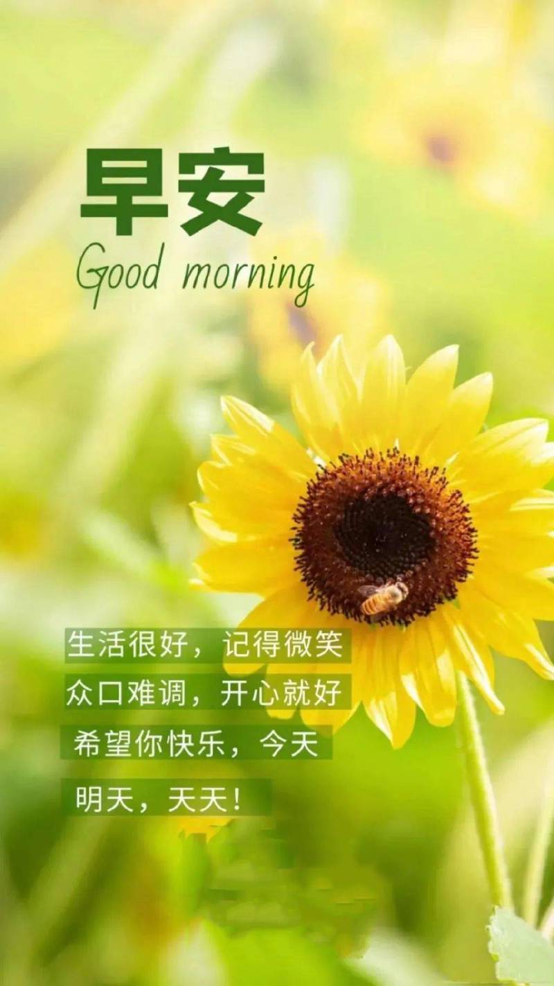 晨光里的温柔·那些让人心动的早安情话