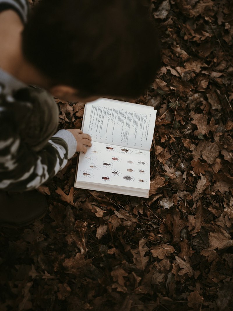 那个把裤子穿反的小家伙,今天好像突然长大了! 那个把裤子穿反的小家伙,今天好像突然长大了!