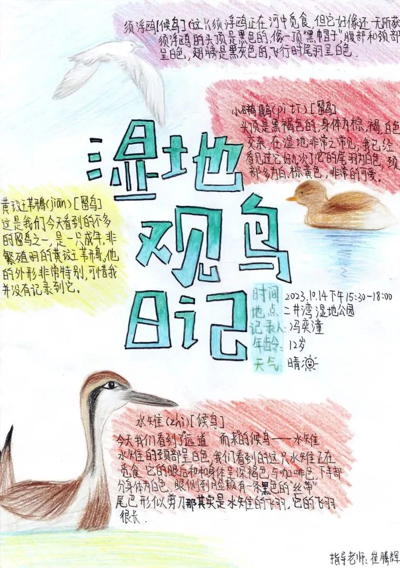 动物日记·猫咪的日常