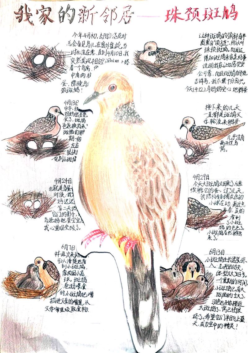 楼下那只流浪猫，怎么越看越像我小时候的邻居…