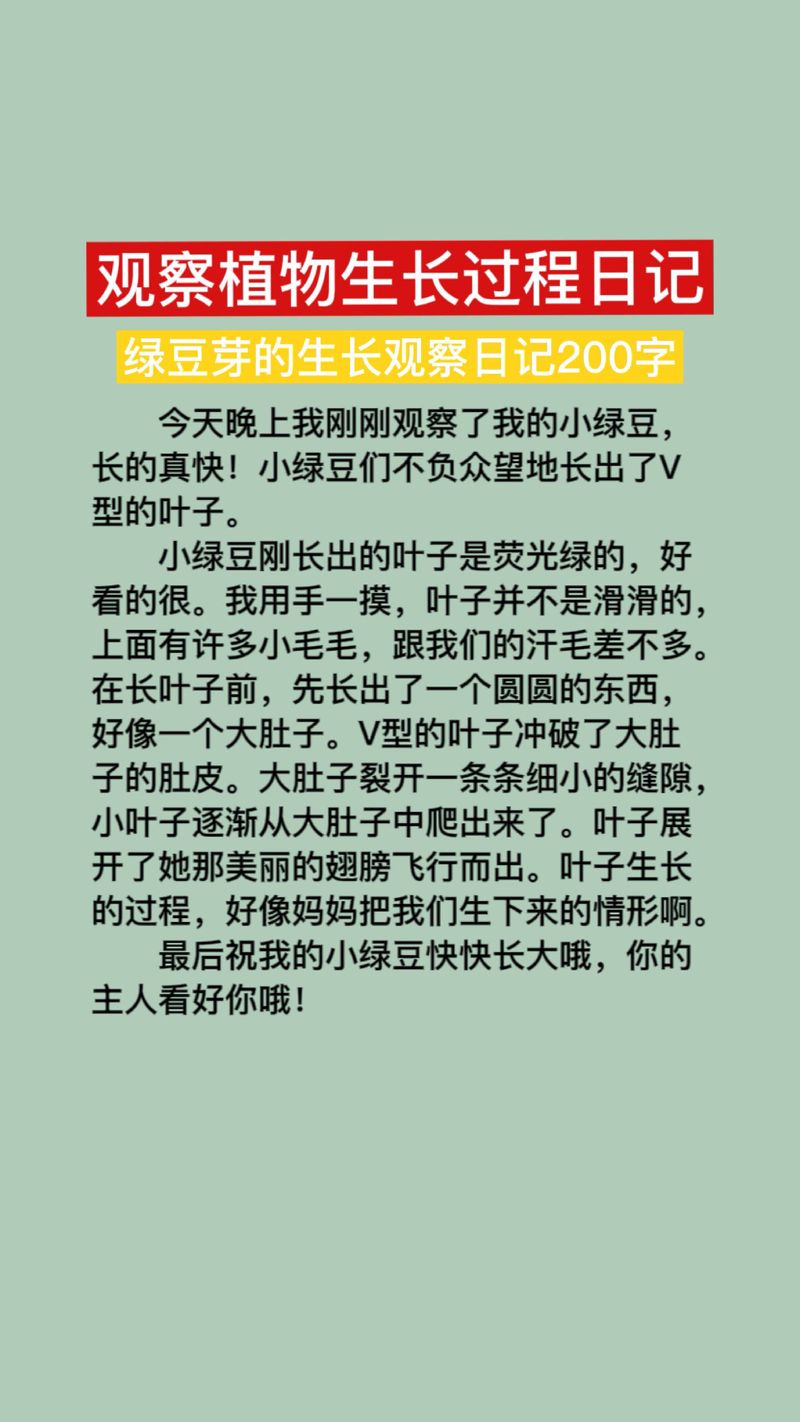 今天我观察了什么
