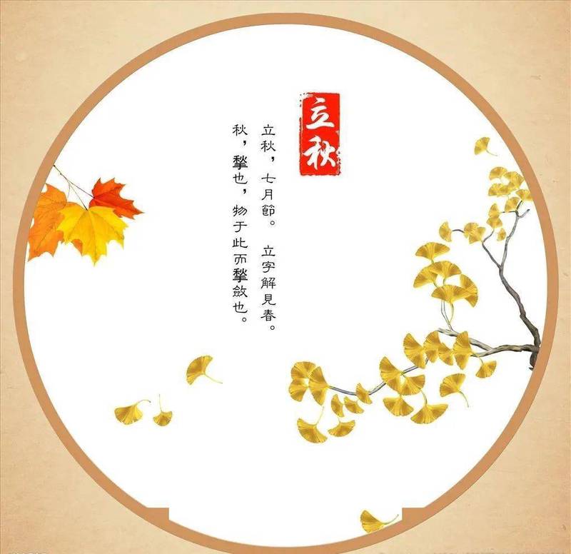 秋风轻拂，心间暖阳