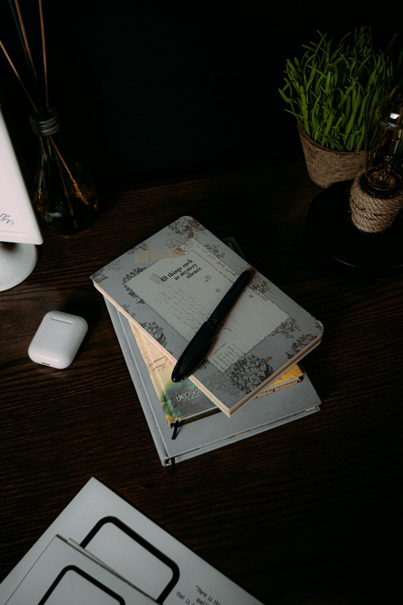 阳光太刺眼,我决定和窗户死磕到底… 阳光太刺眼,我决定和窗户死磕到底…