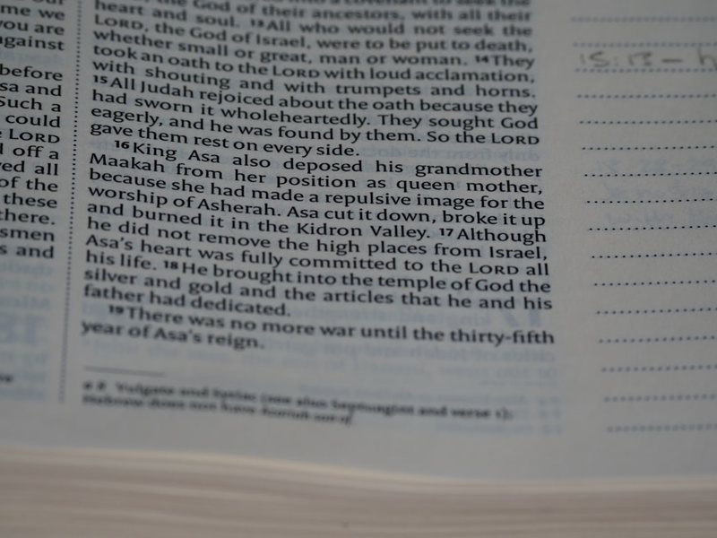 观察金鱼日记 观察金鱼日记