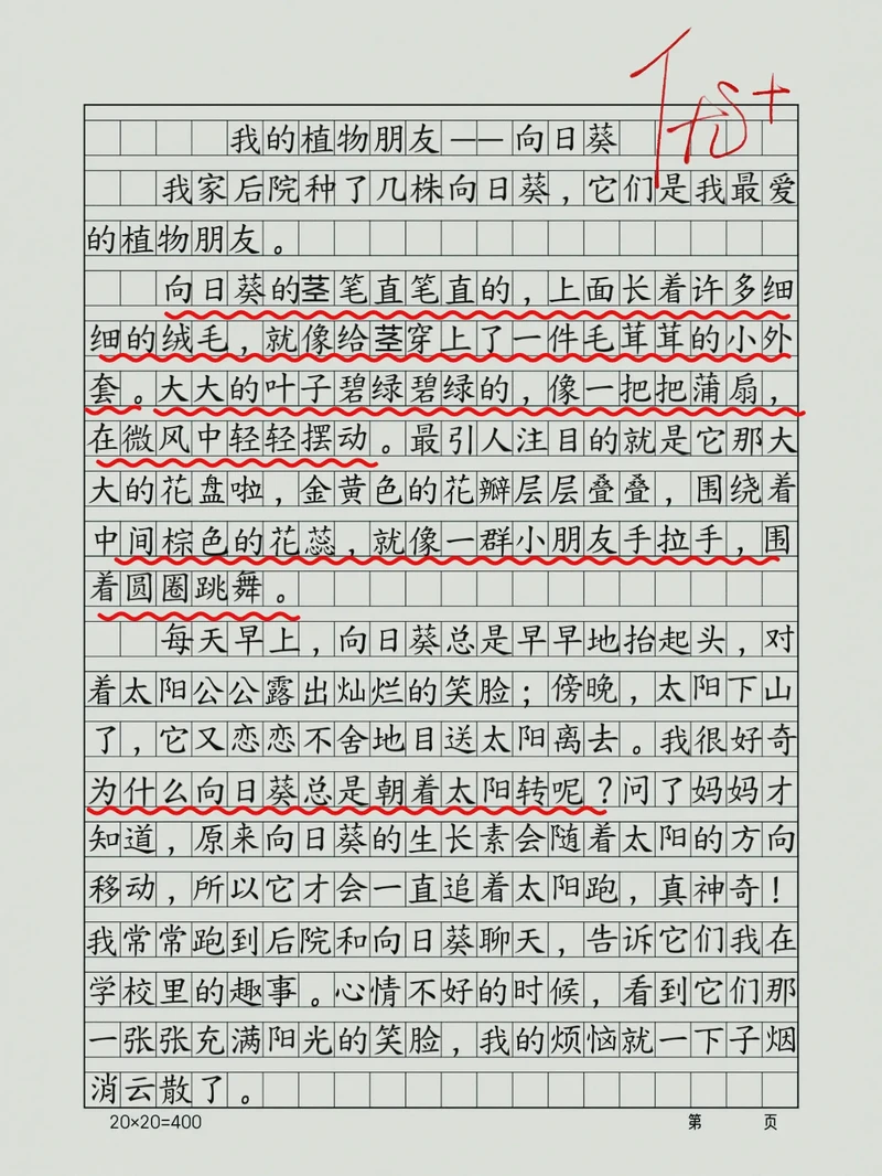 阳台上的那抹金黄·我的向日葵观察日记