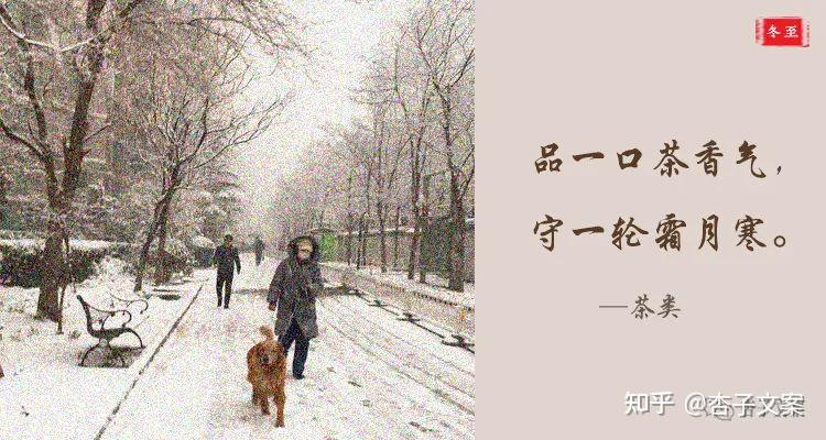 冬至的暖意—爱在四季流转中