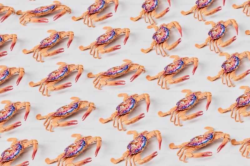 温柔的力量丨巨蟹座的8字情话