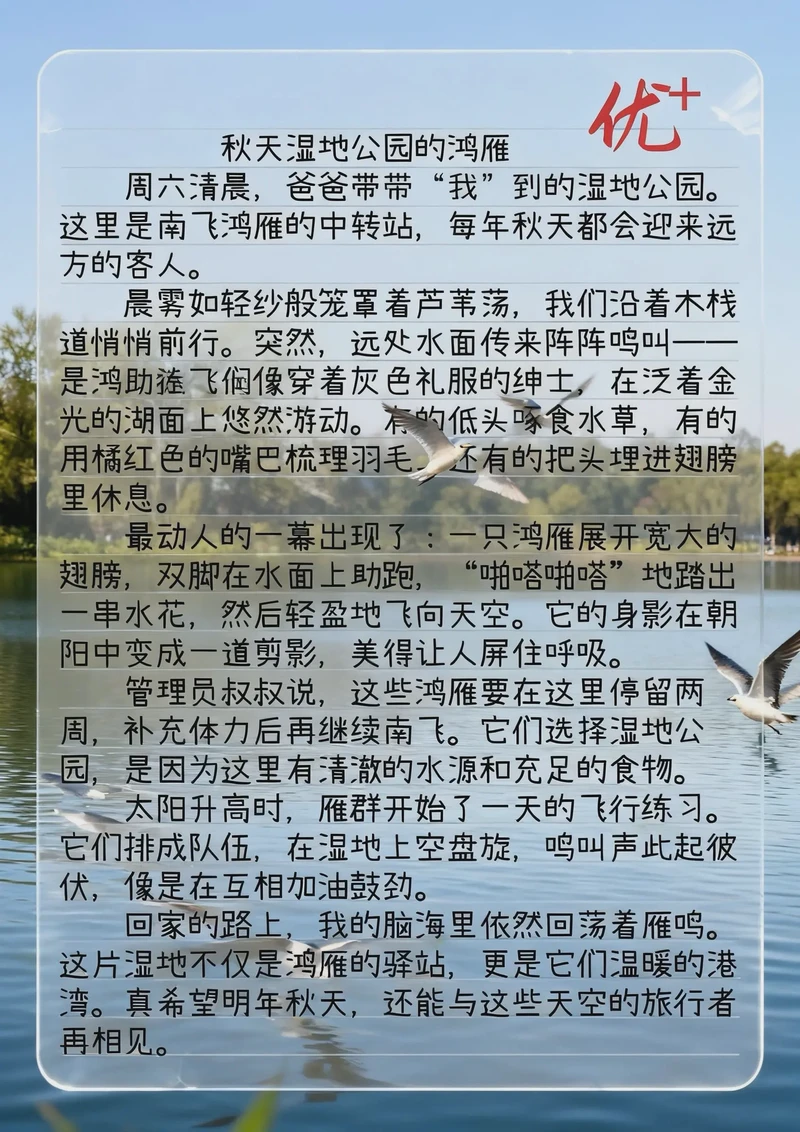 湿地漫步,心随自然? 湿地漫步,心随自然?