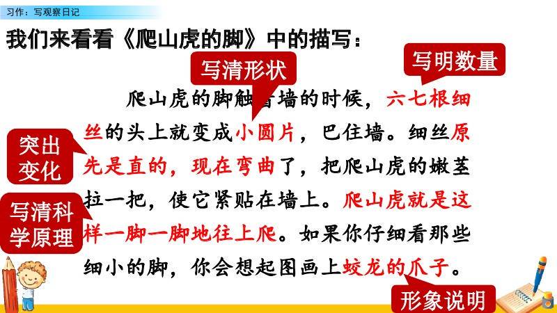 雨后公园的奇迹与城市夜晚的灯火？