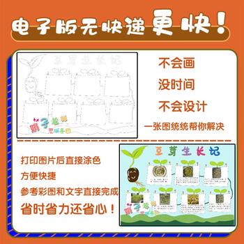 看着绿豆变成“小逗号”的一天…