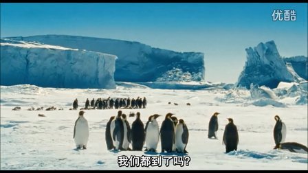 《帝企鹅日记》丨一场生命的奇迹