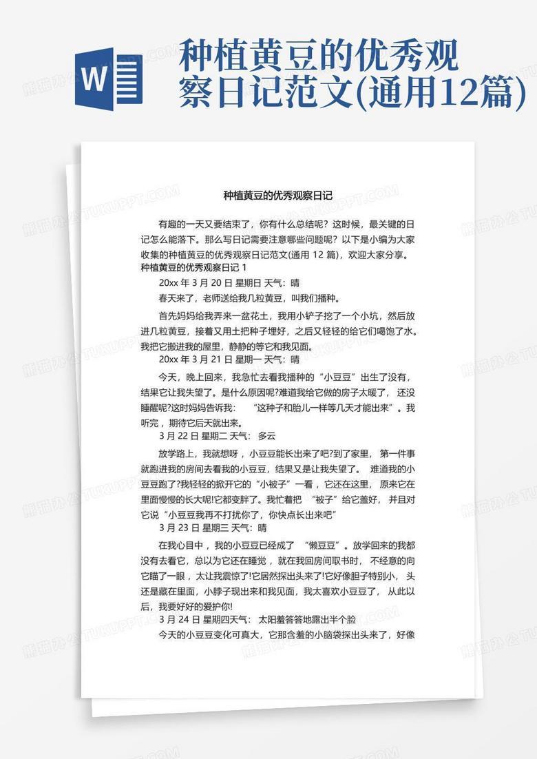 【观察日记】沉睡的小黄豆，终于醒了？