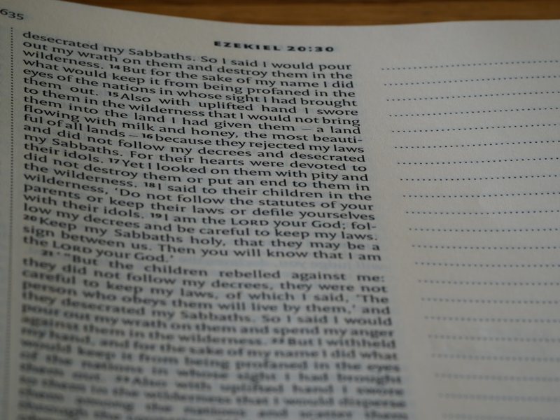 今天，我终于敢在班上举手了？