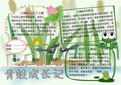 豆芽成长日记:从种子到生机勃勃的小生命 豆芽成长日记:从种子到生机勃勃的小生命