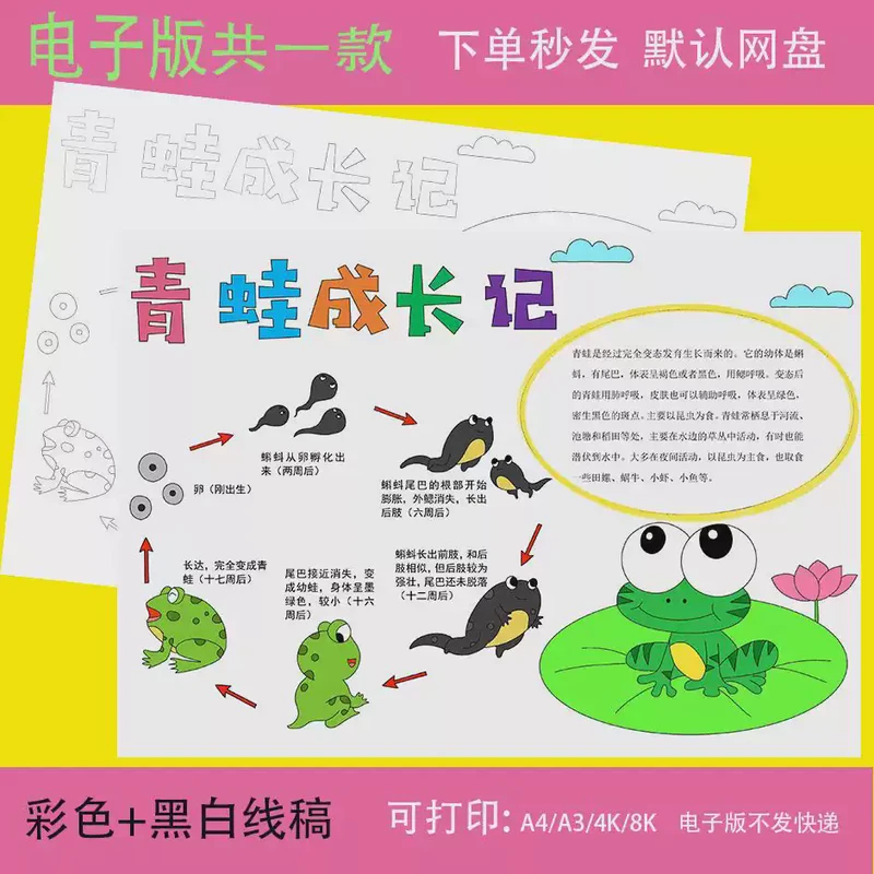 今天，我与小猫咪的邂逅…