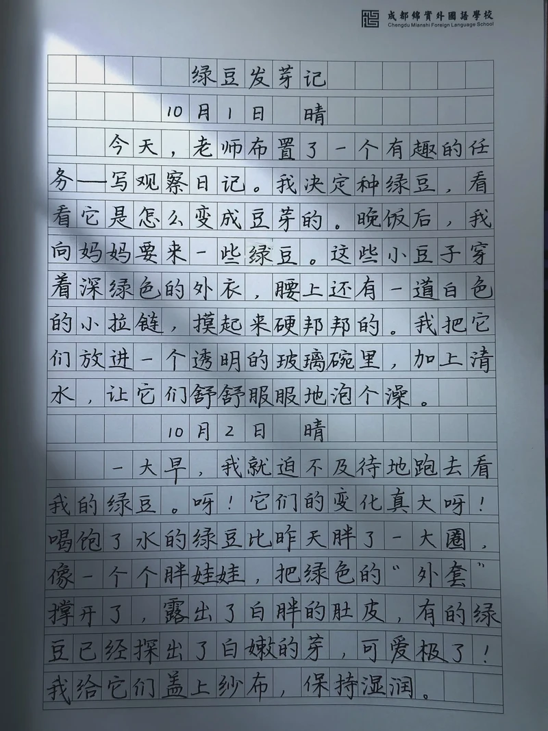 豆子的生长日记… 豆子的生长日记…