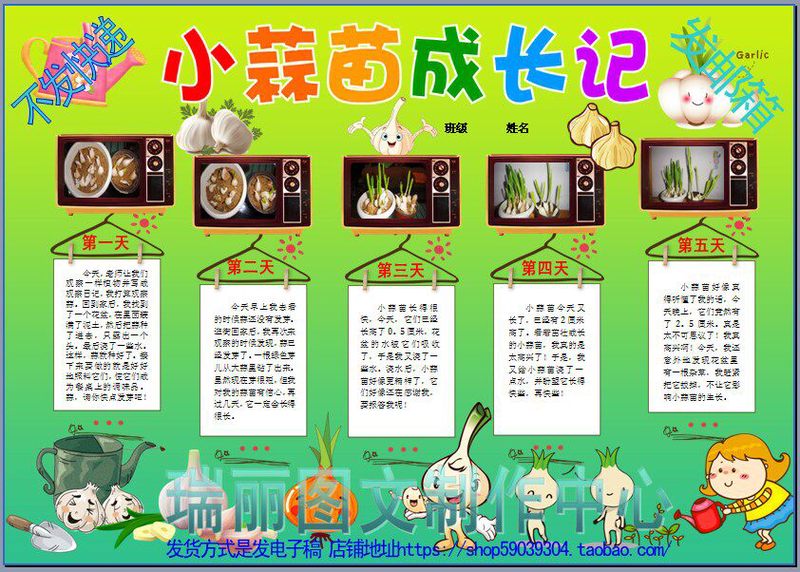 蒜苗的生长日记|从土壤到绿叶的奇妙旅程 蒜苗的生长日记|从土壤到绿叶的奇妙旅程