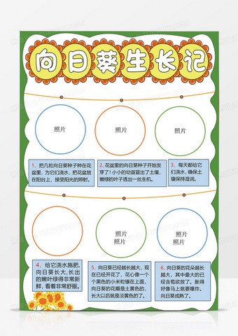 向日葵的微笑，夏日的阳光…