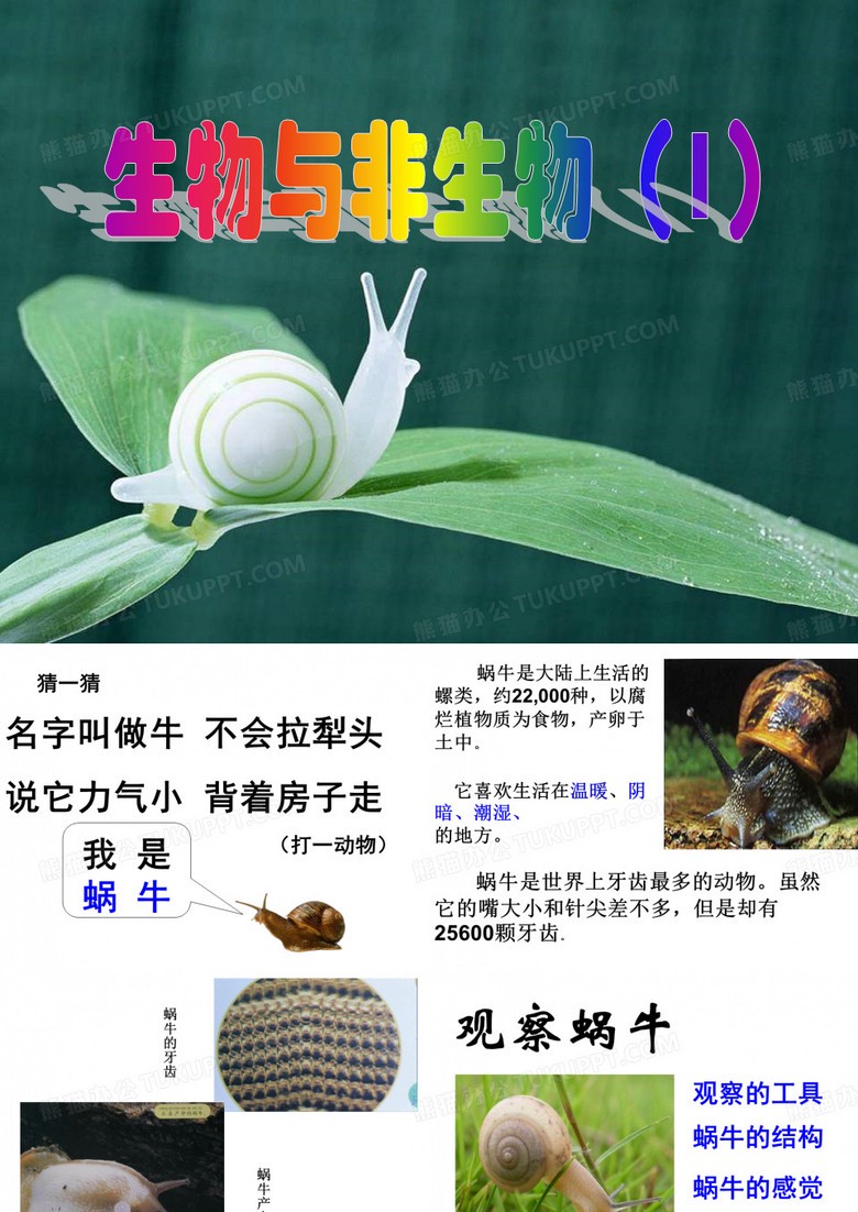 那个慢吞吞的家伙，今天过得怎么样？